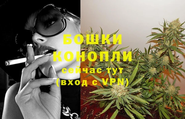 мдпв Инсар