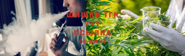 мдпв Инсар