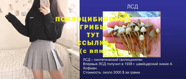 мдпв Инсар