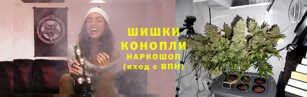 мдпв Инсар