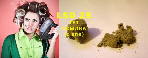 мдпв Инсар