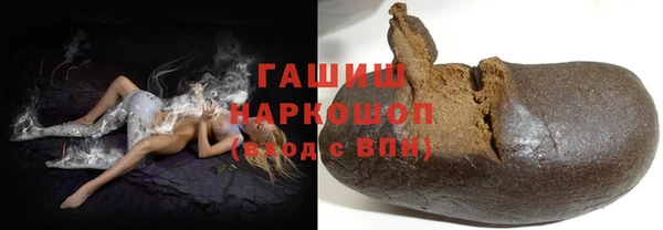 мдпв Инсар