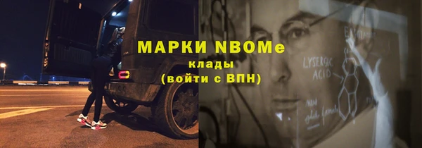 мдпв Инсар