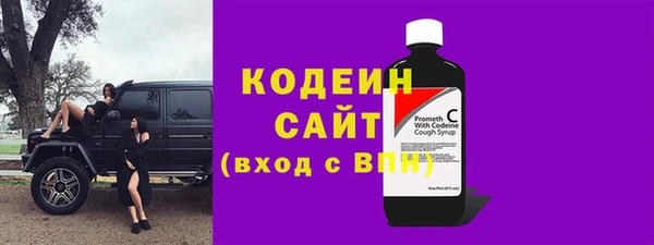 мдпв Инсар