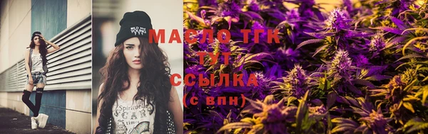 мдпв Инсар