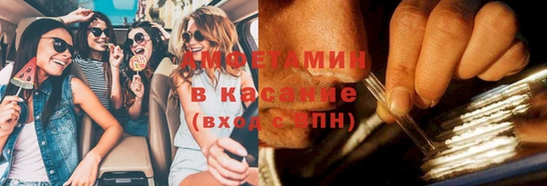 мдпв Инсар