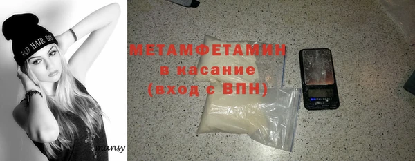 мдпв Инсар