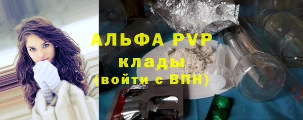 мдпв Инсар